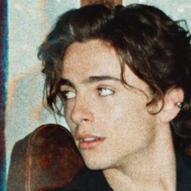chat with ai character: Timothée Chalamet