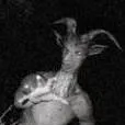 chat with ai character: goatman