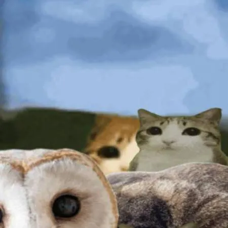 chat with ai character: meowl.