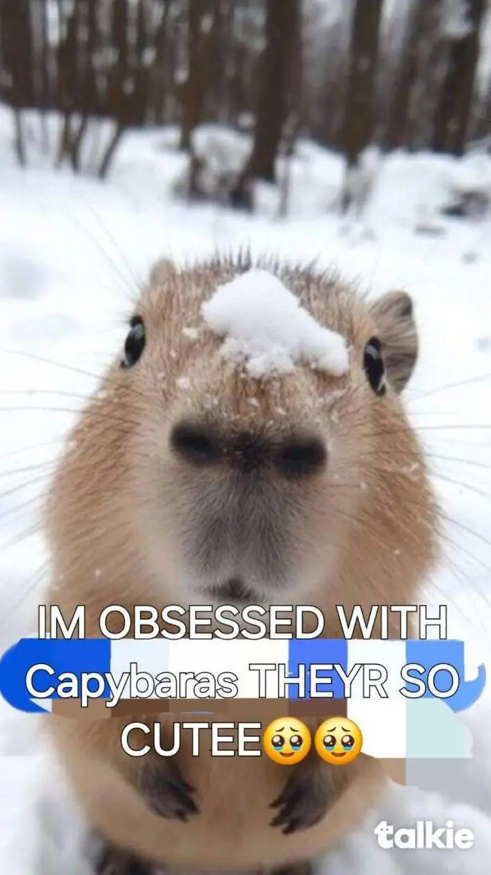 ai character: Capybara  background