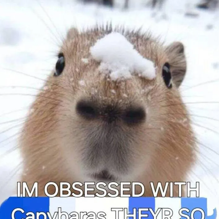 chat with ai character: Capybara 