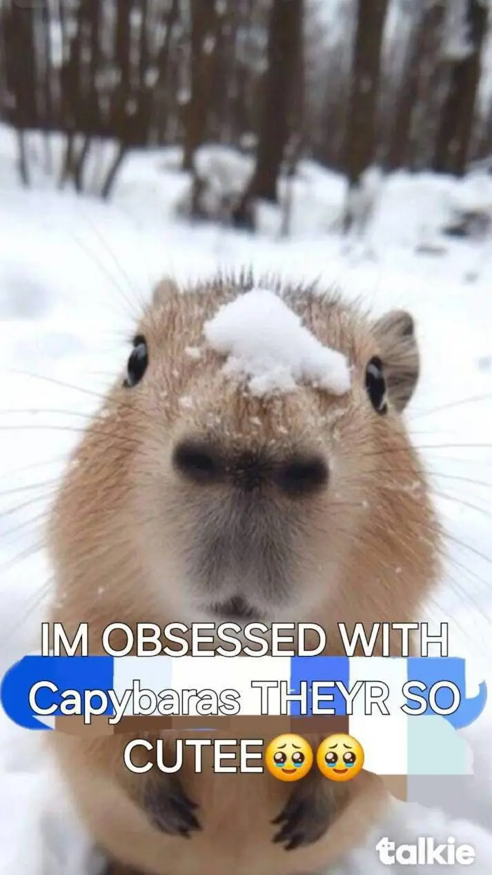 ai character: Capybara  background
