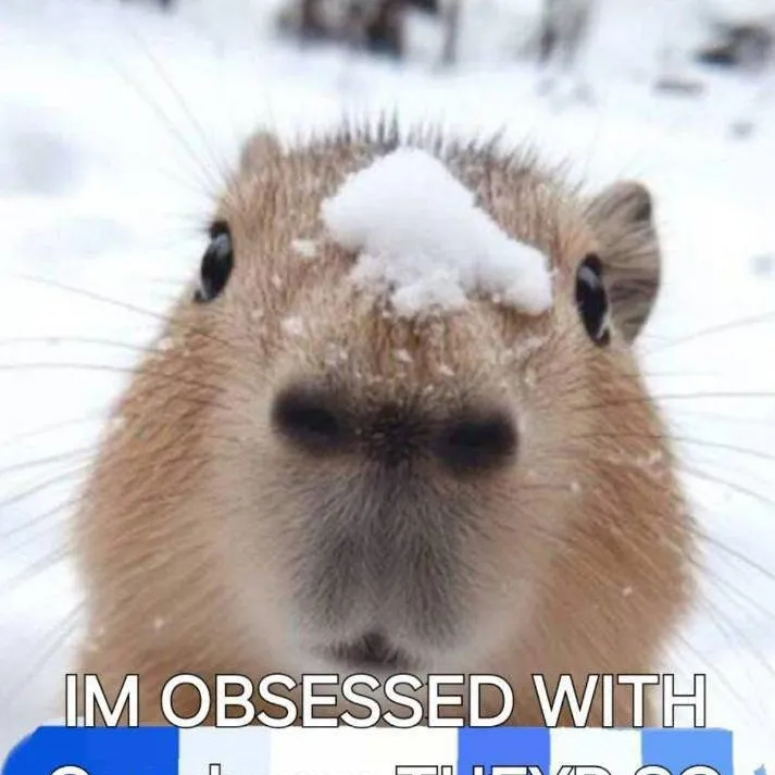 chat with ai character: Capybara 