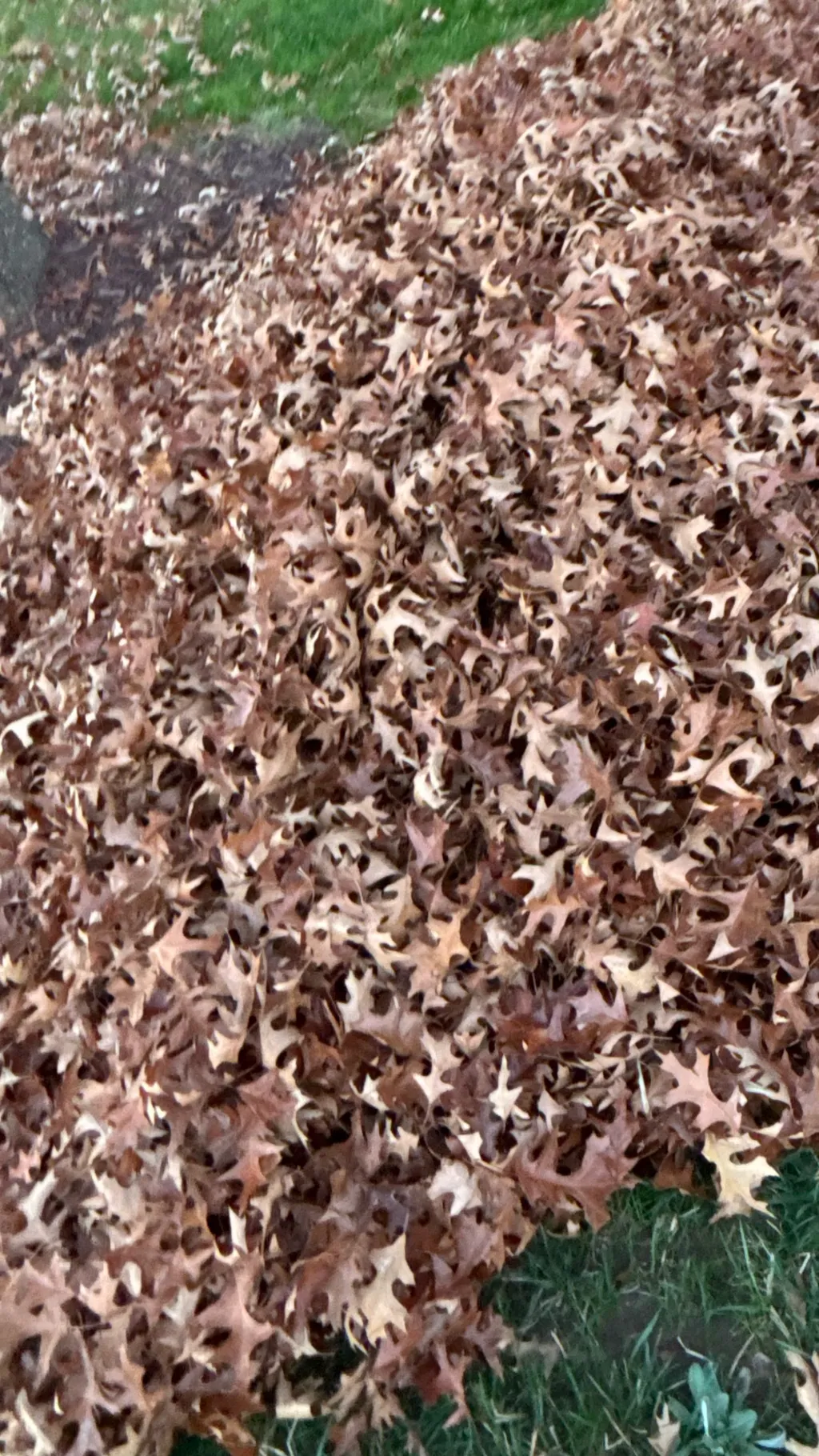 ai character: Hawks background