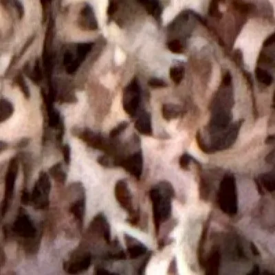 chat with ai character: Hawks