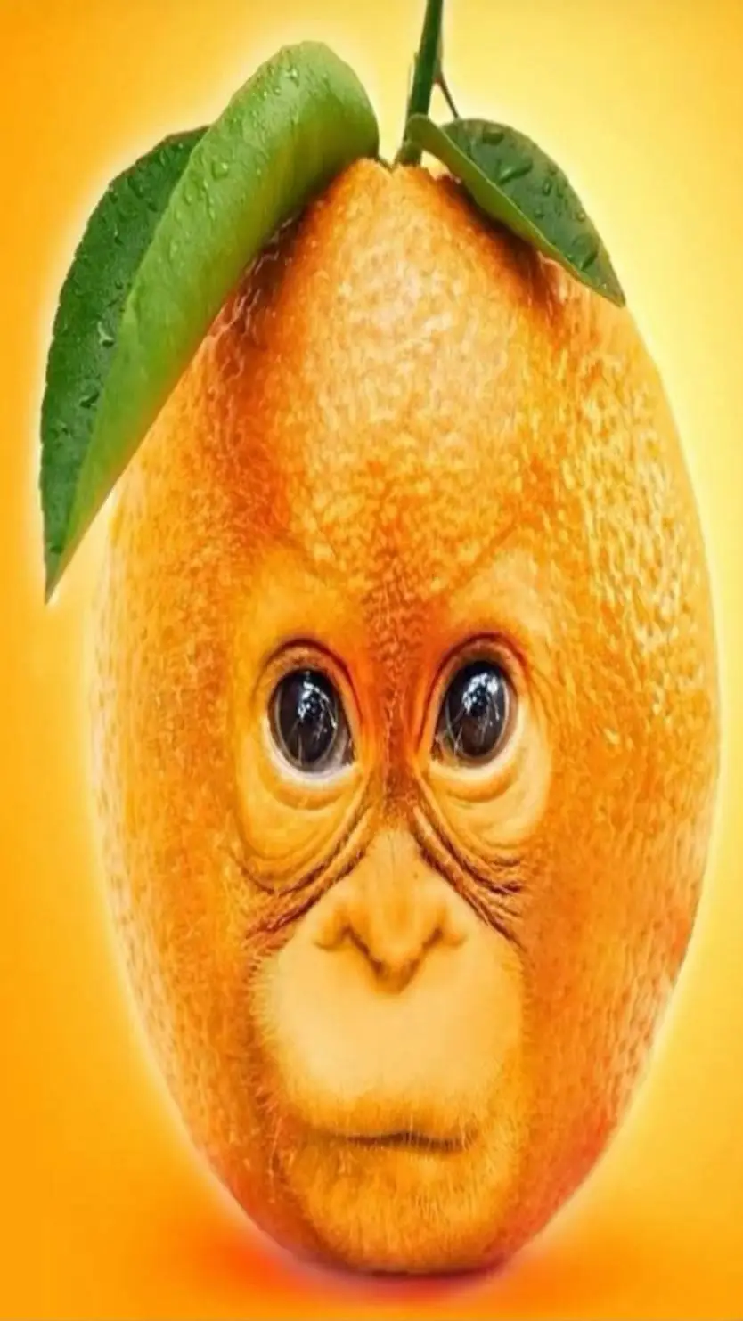 ai character: Orangutan Orange background