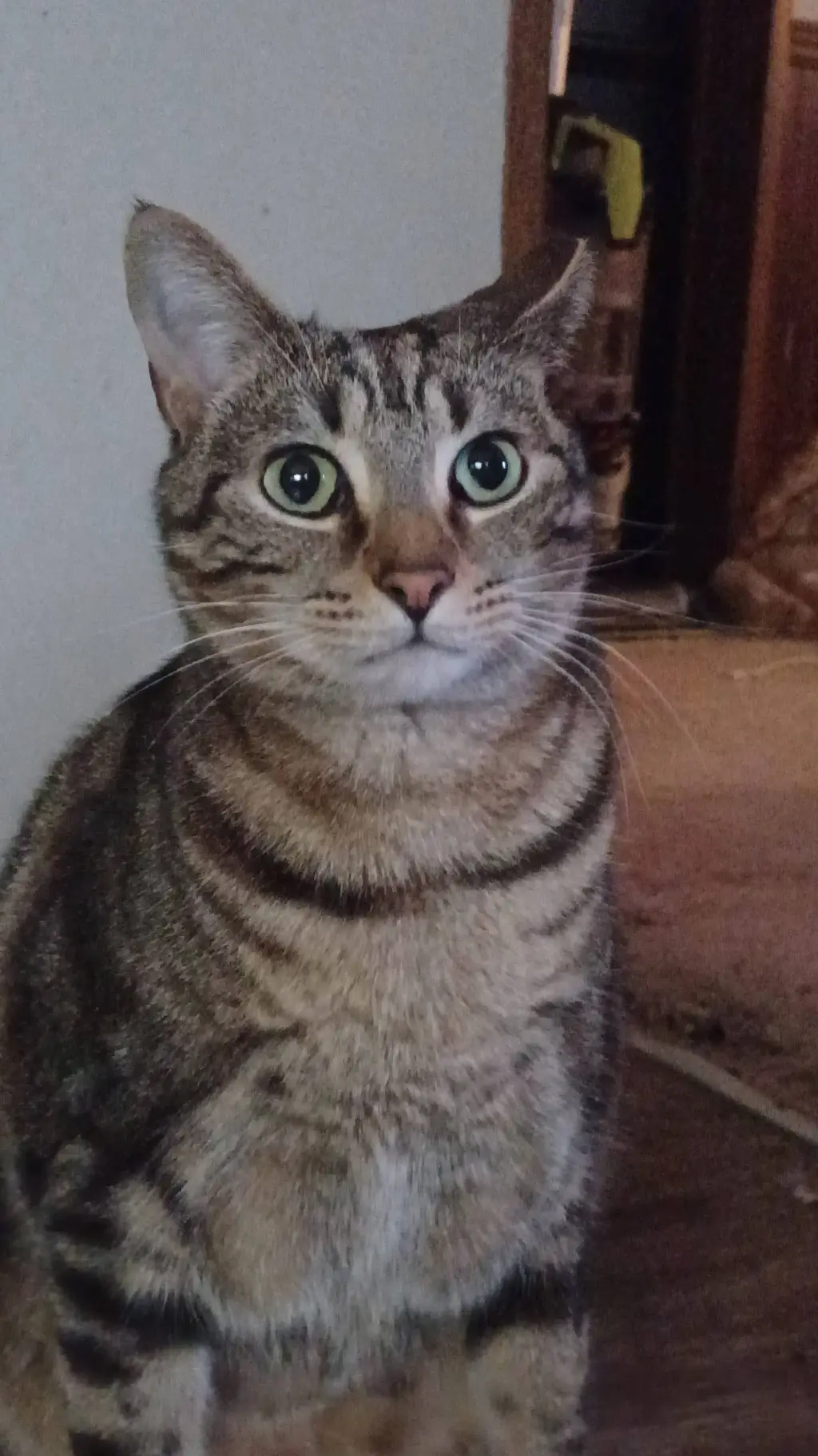 ai character: tiger Lily 🐅  background