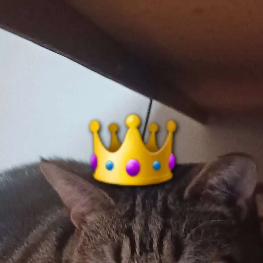 chat with ai character: Queen tiger Lily 🤎