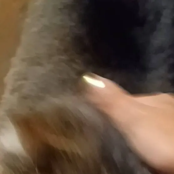 chat with ai character: tom