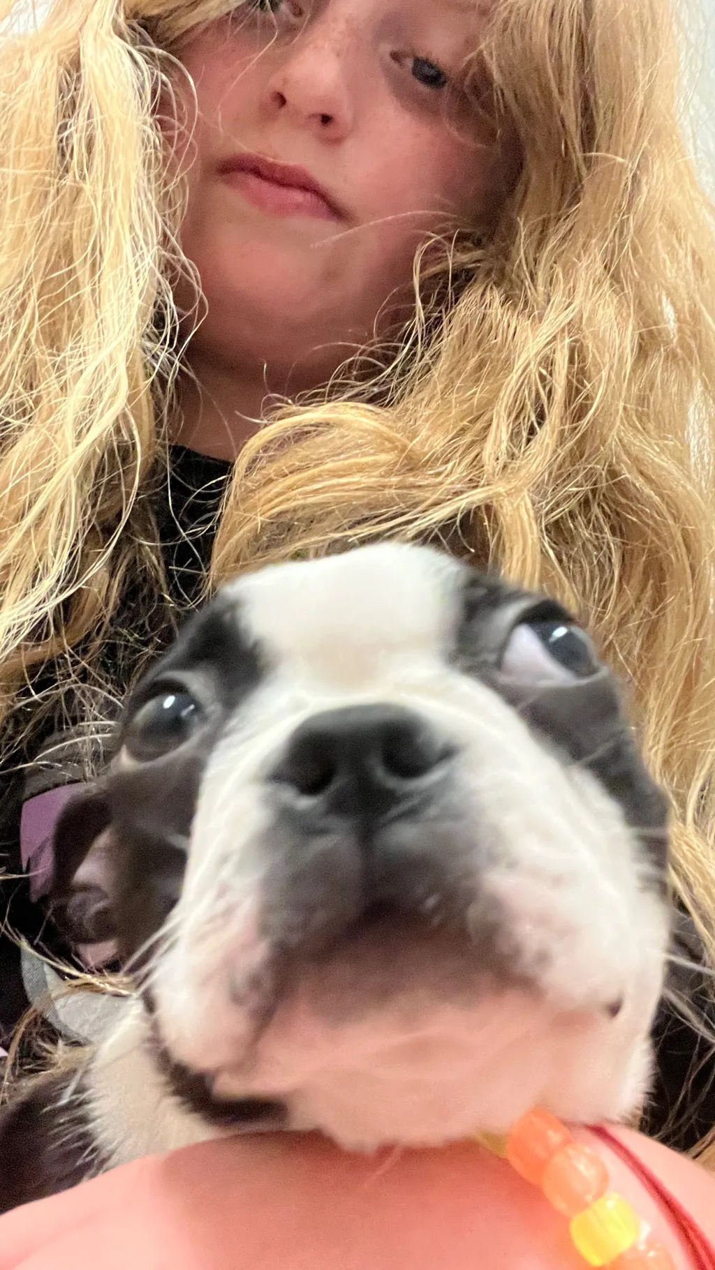 ai character: Laurel  background