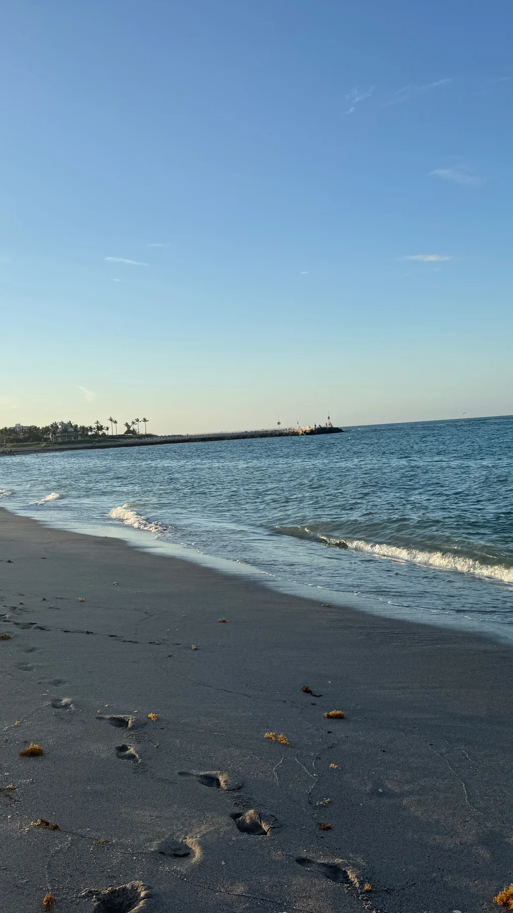 ai character: The beach  background