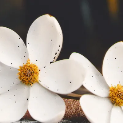 chat with ai character: Gym 😬 