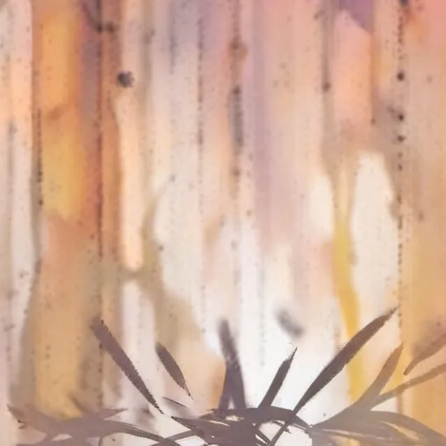 chat with ai character: you/luna 