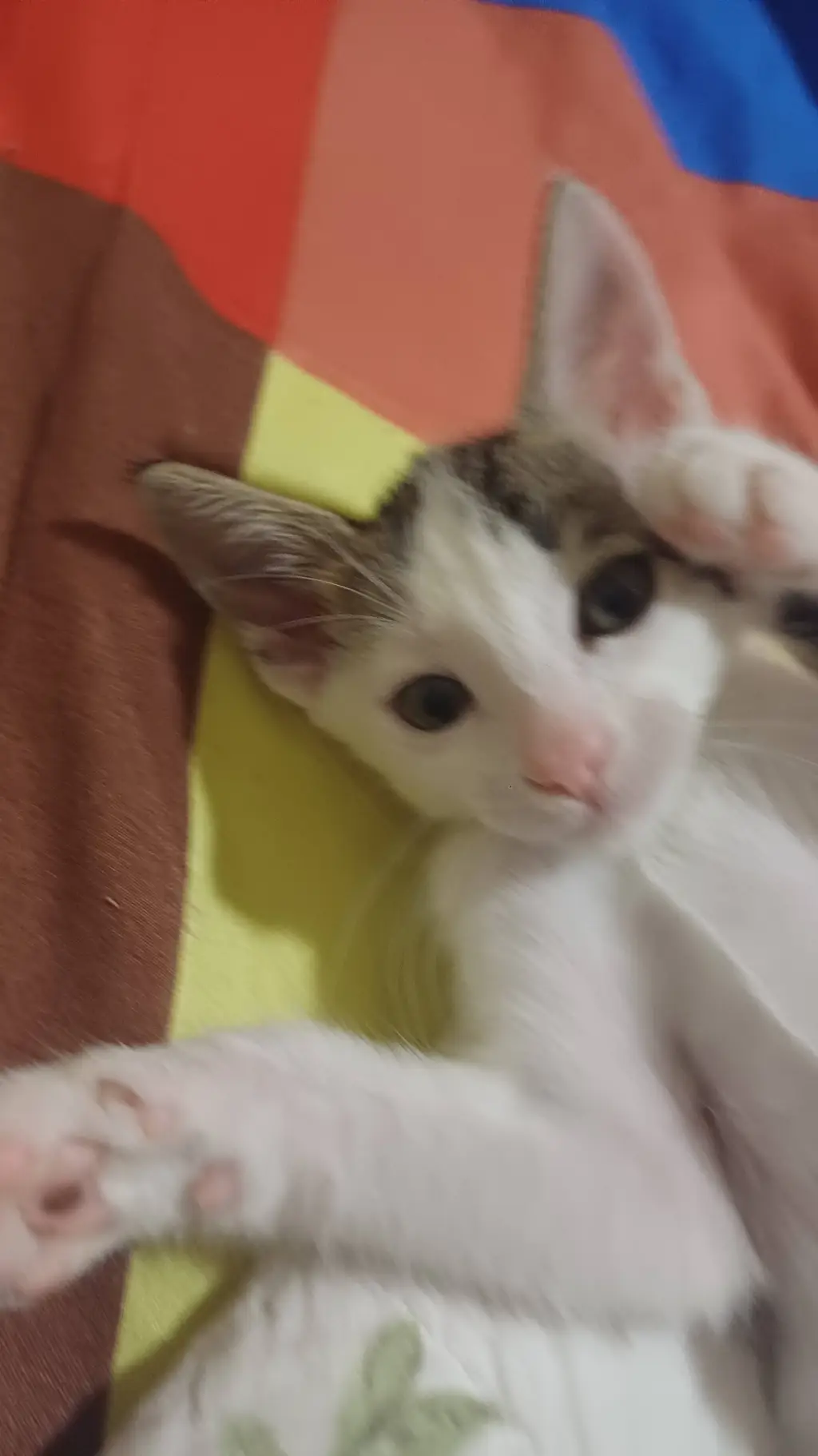 ai character: bean shcool background