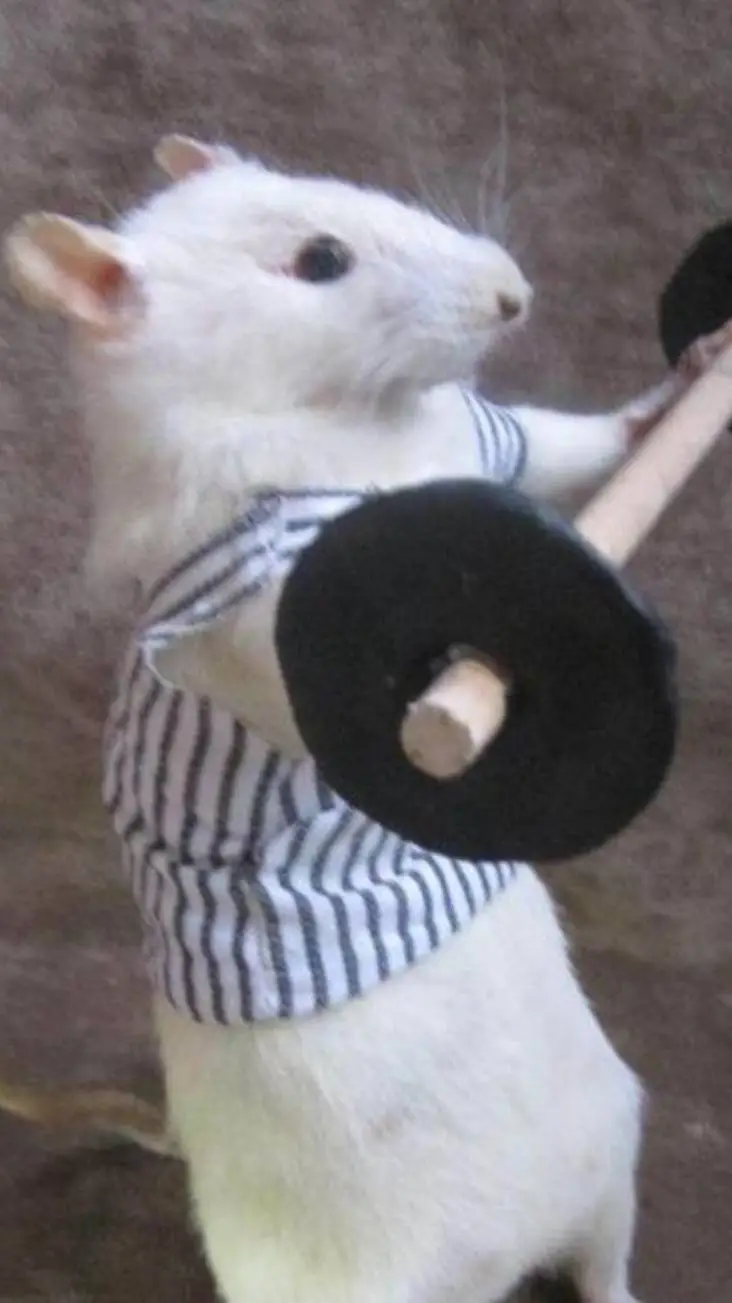 ai character: girl background