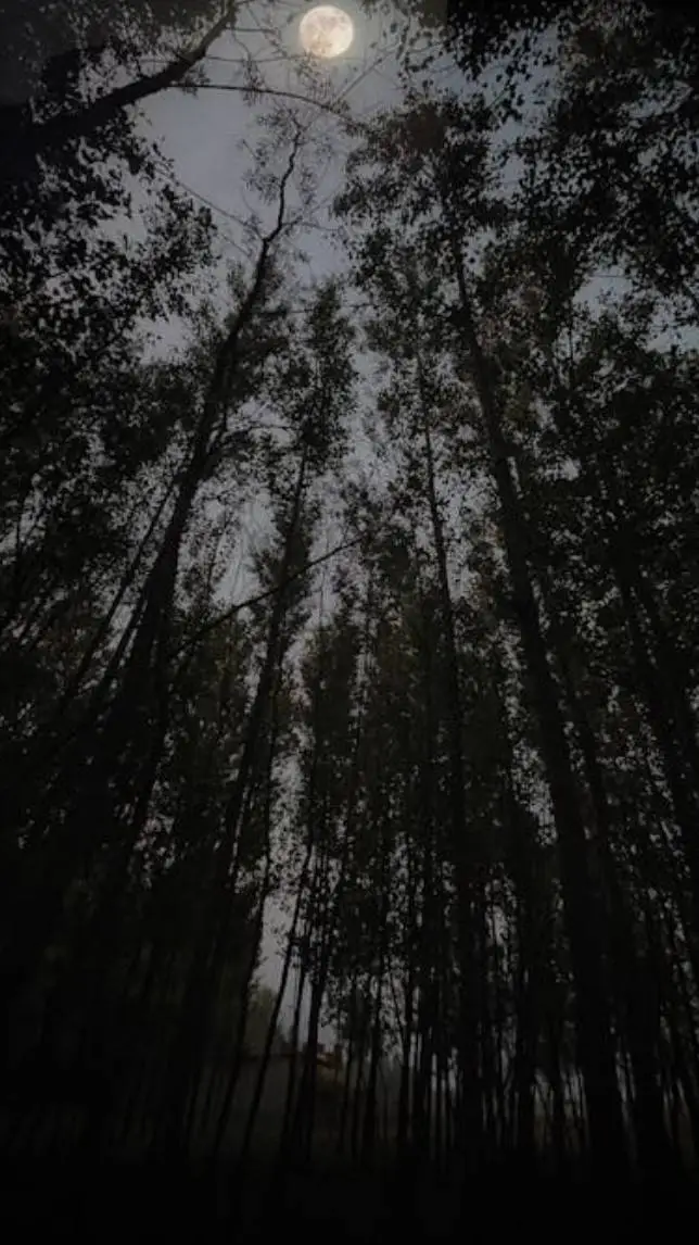 ai character: heavy trip.. background