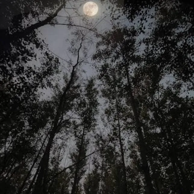 chat with ai character: heavy trip..