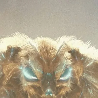 chat with ai character: mothra 