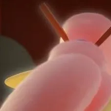 chat with ai character: Fluttershy