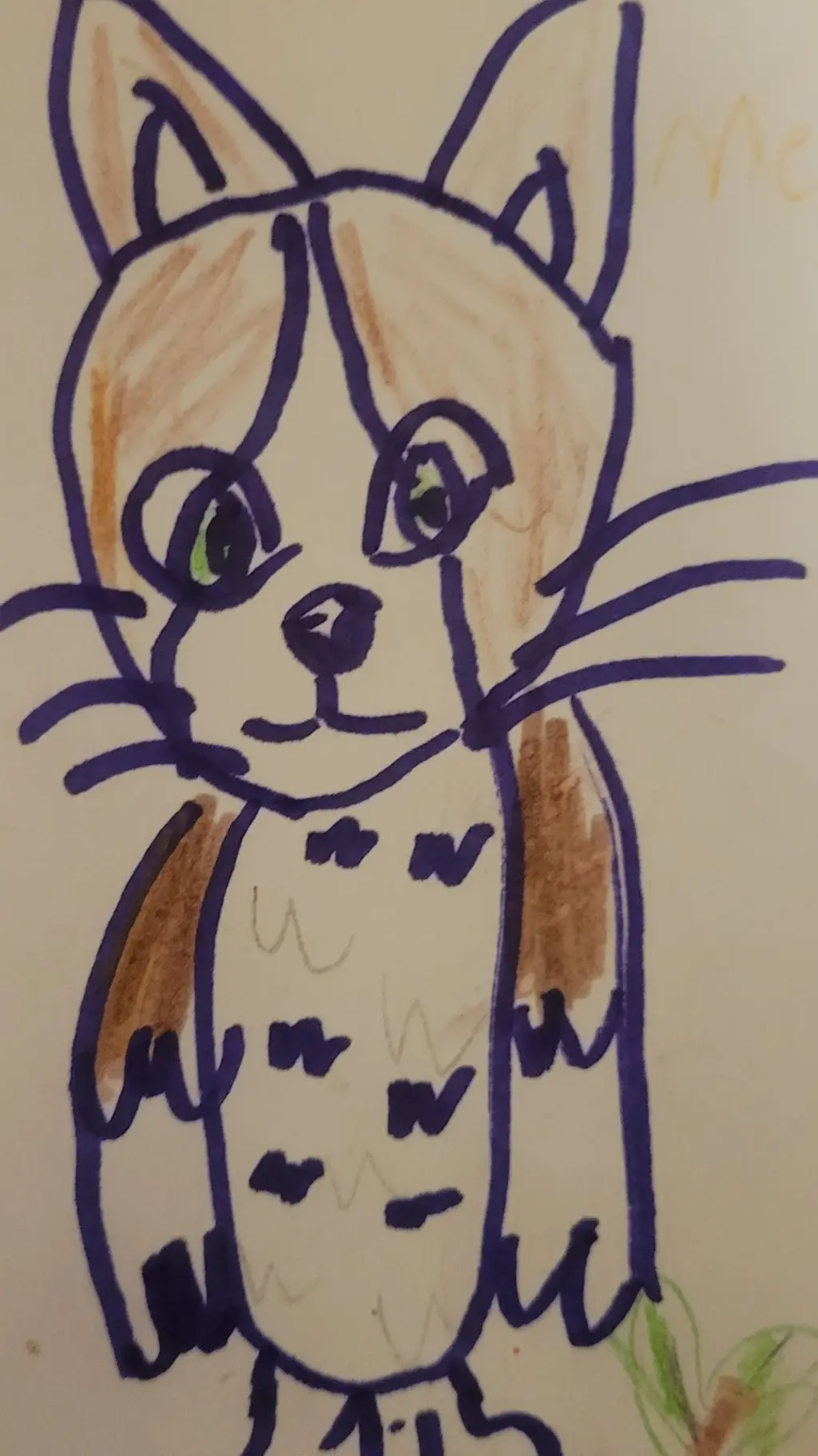 ai character: Meowl background