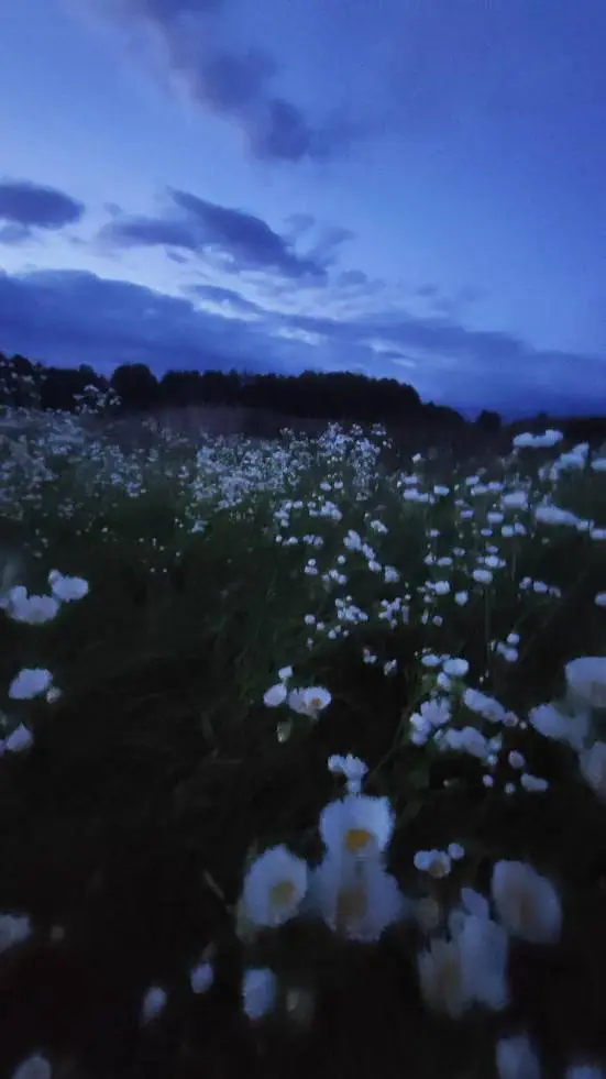 ai character: Age guesser background