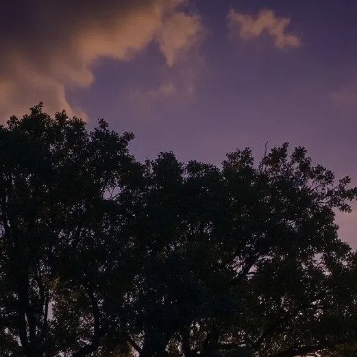 chat with ai character: Liam Hawthorne