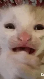 ai character: Sad cat background