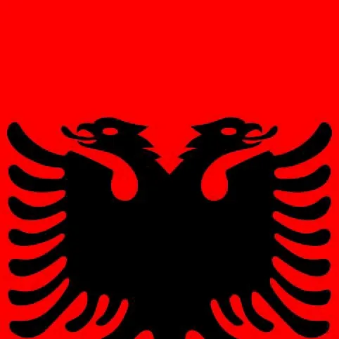 chat with ai character: The Albanian... 