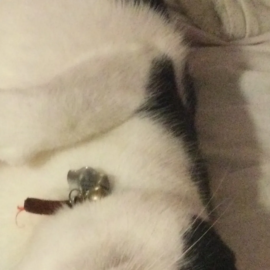 chat with ai character: Baby Inosuke