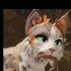 chat with ai character: Warrior cats￼￼