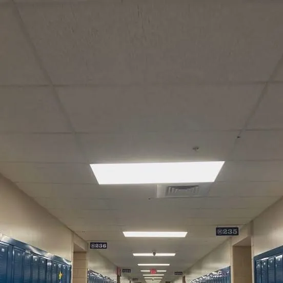 chat with ai character: FNAF.SB in school