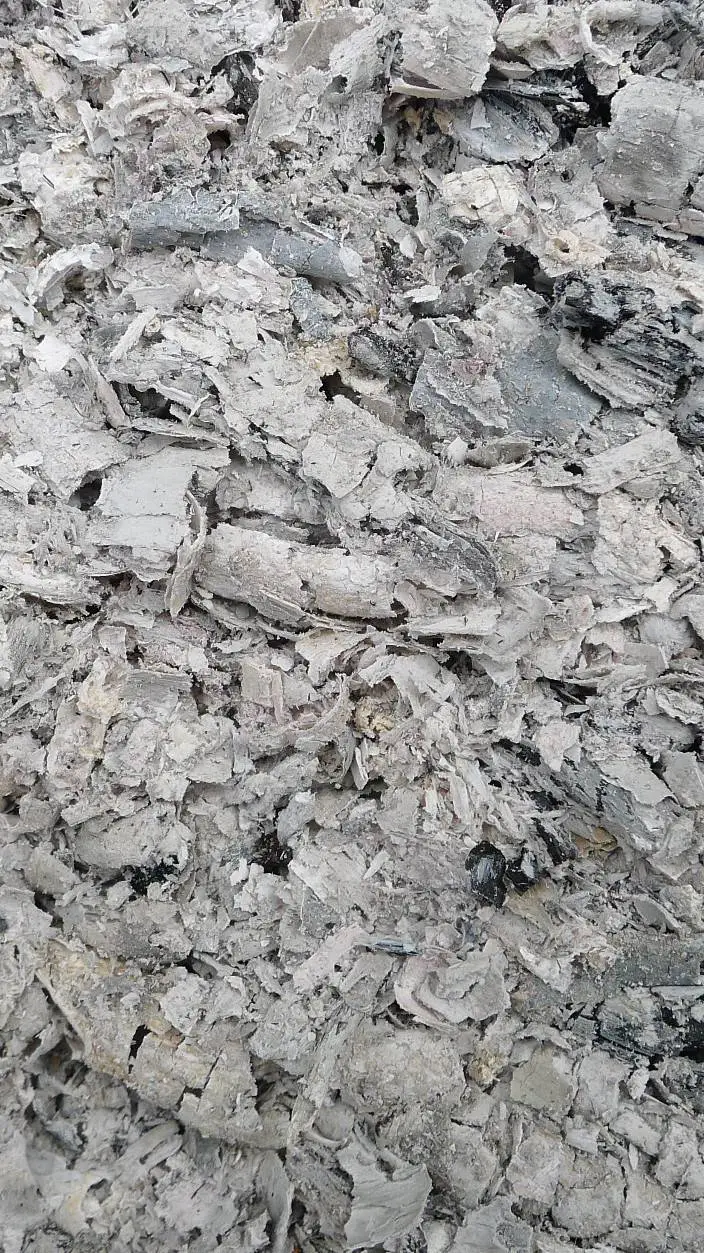 ai character: requests background