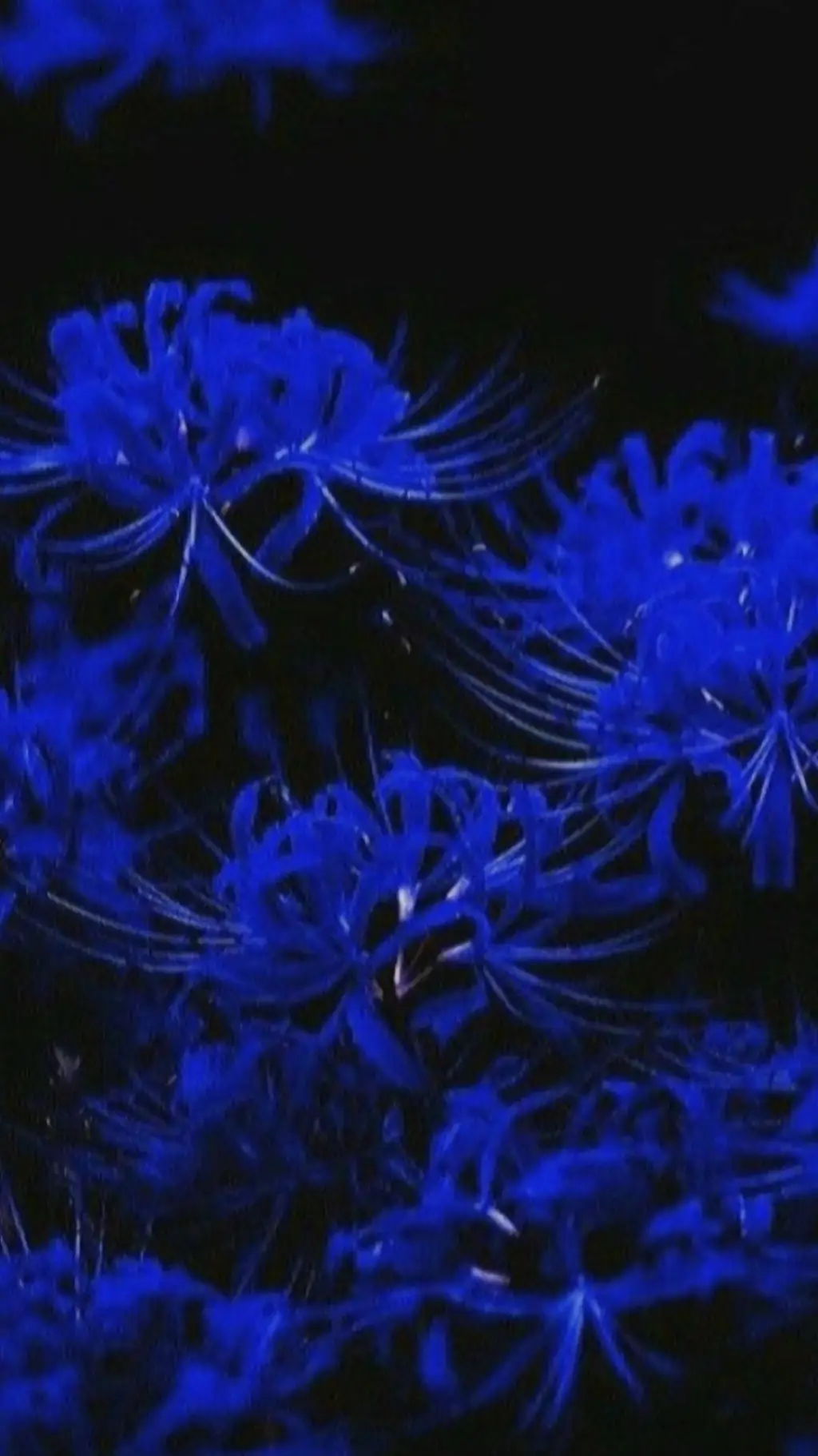 ai character: kny swap background