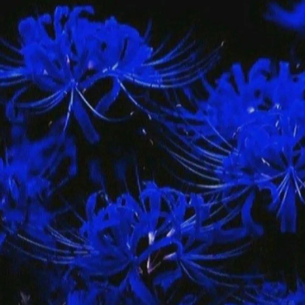 chat with ai character: kny swap