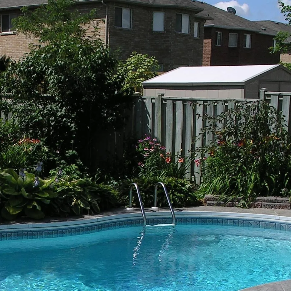 chat with ai character: swimming pool