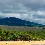 chat with ai character: Beach