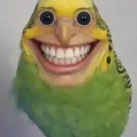 chat with ai character: cursed budgie