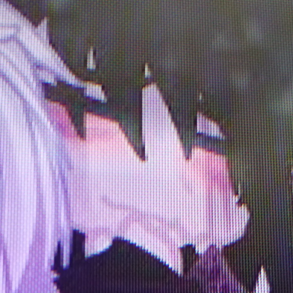 chat with ai character: Saneobanigyui