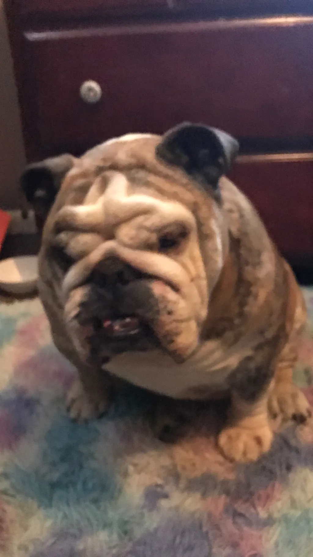 Talkie AI - Chat with Bramble 