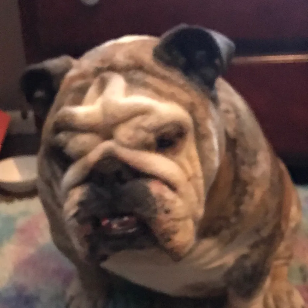 chat with ai character: Bramble 