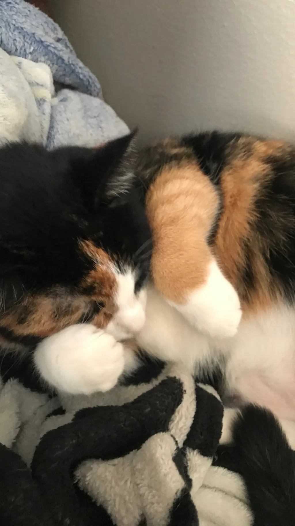 Talkie AI - Chat with Beta Vaga