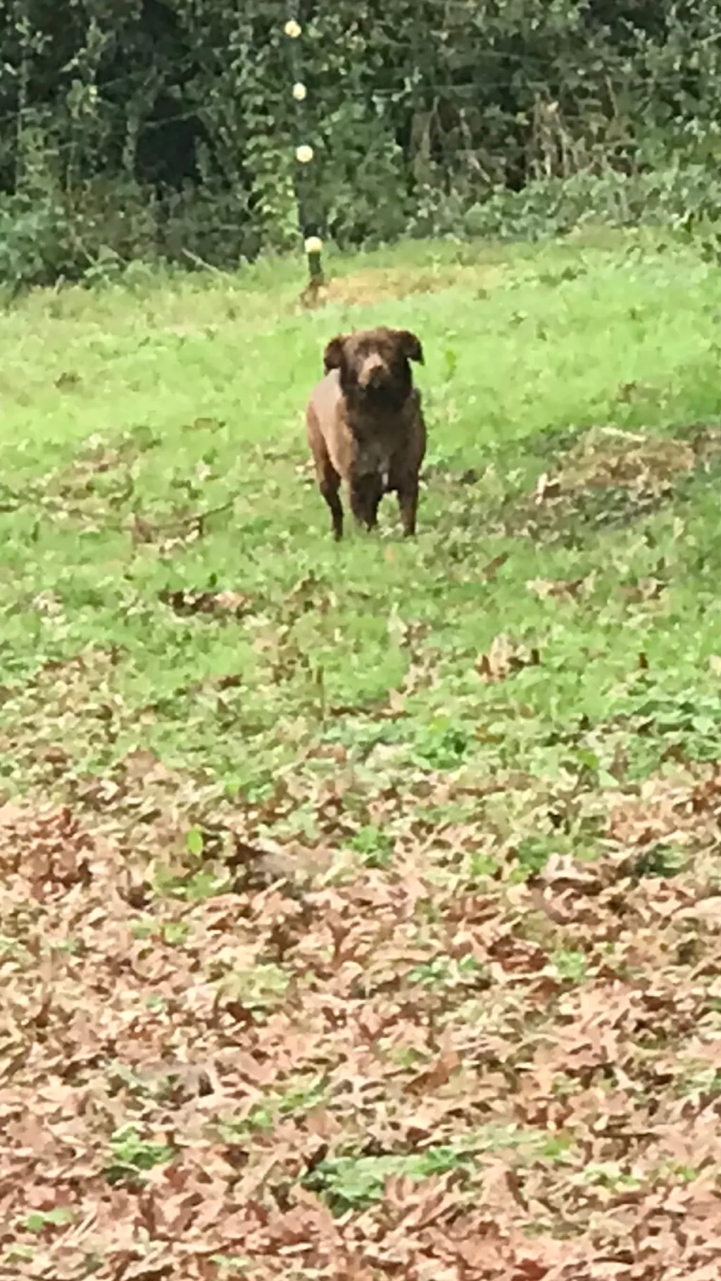 Talkie AI - Chat with Beta Paco