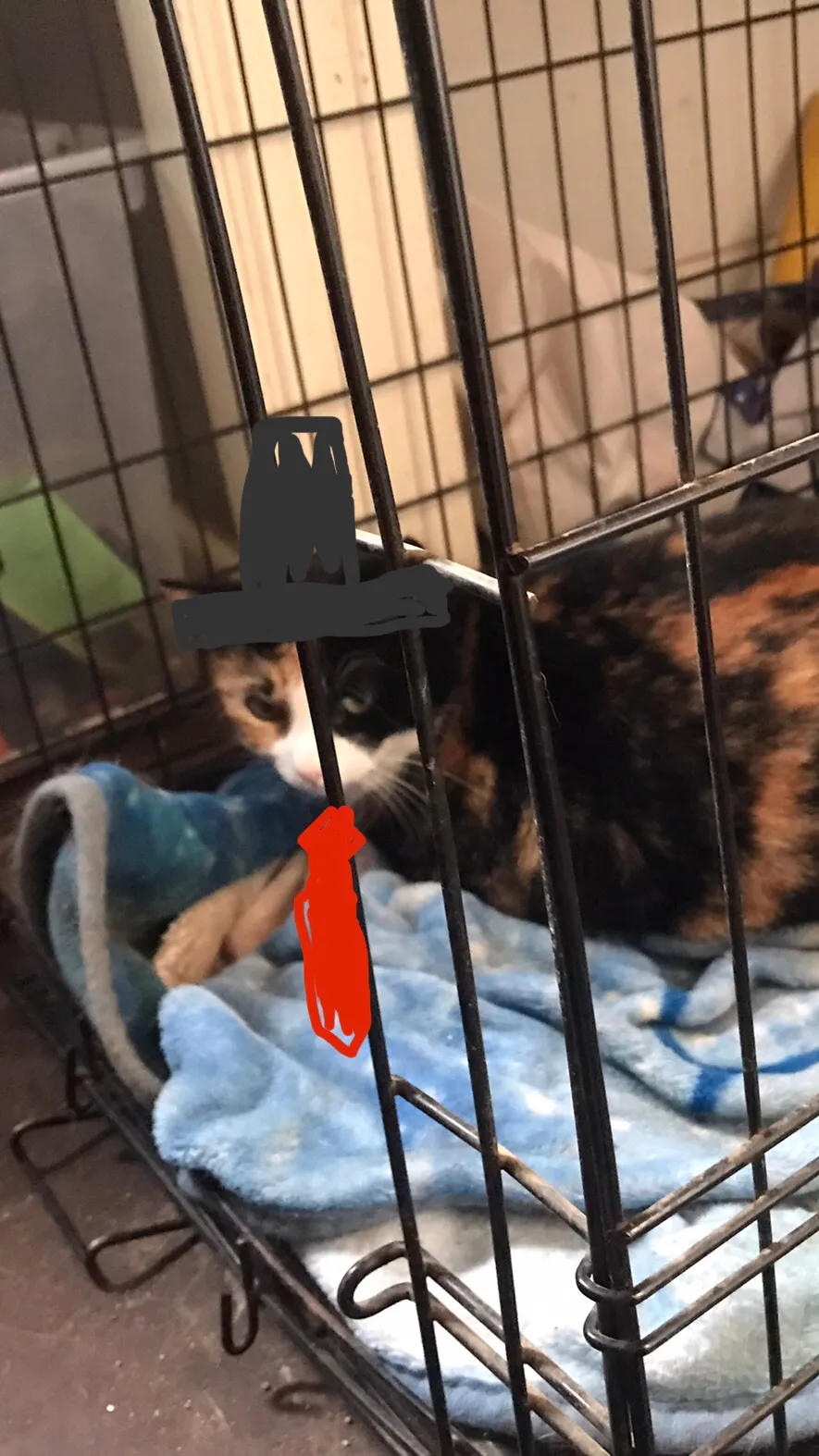 Talkie AI - Chat with Mr. Vegerson