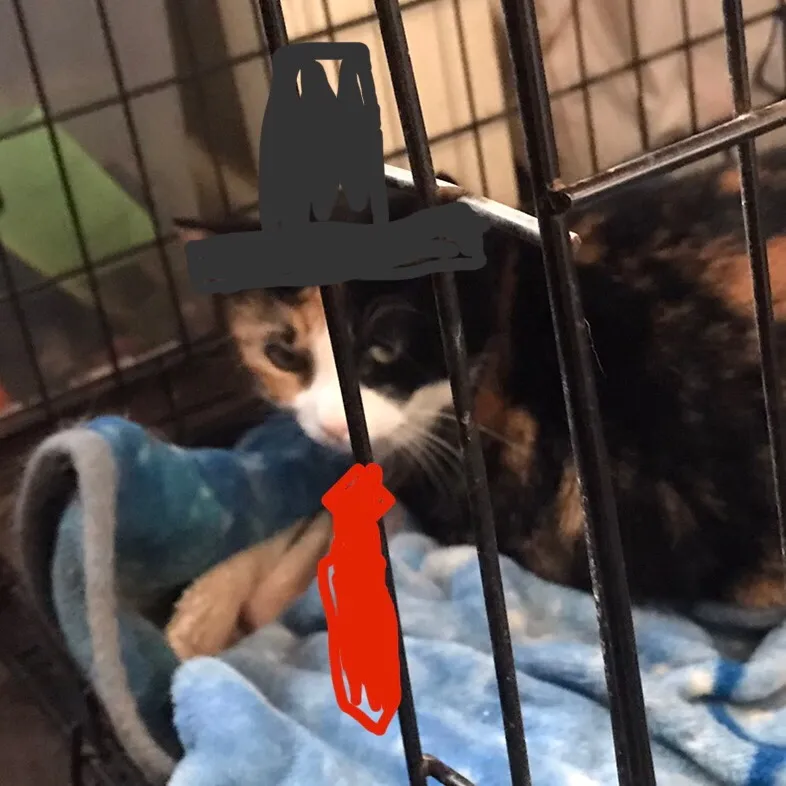 chat with ai character: Mr. Vegerson