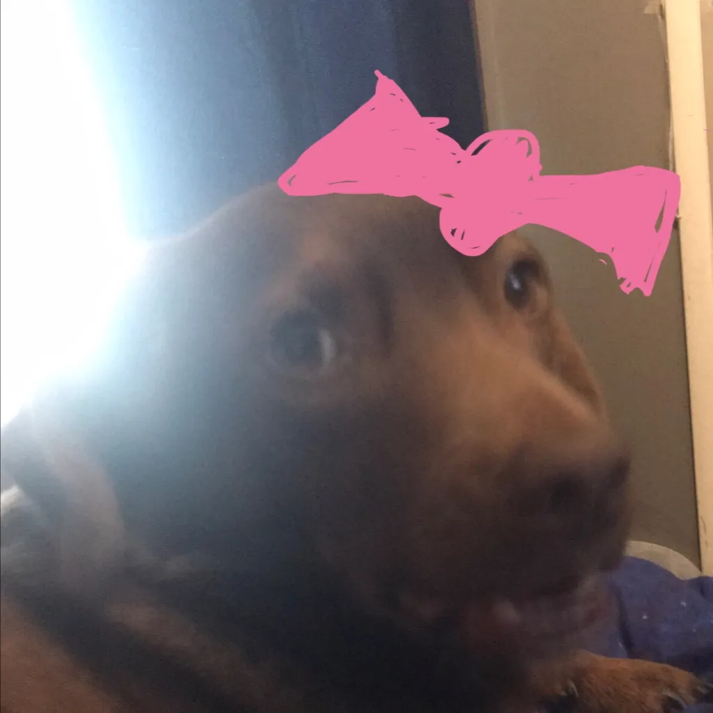 chat with ai character: Peca