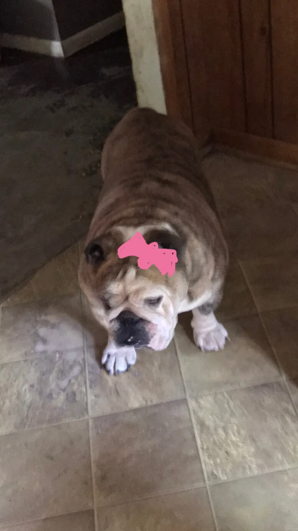 Talkie AI - Chat with Brambleina