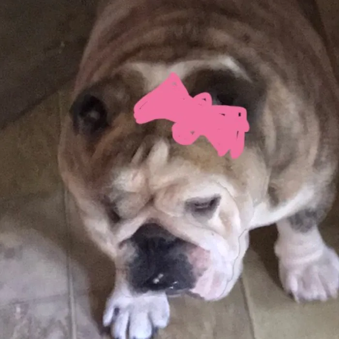 chat with ai character: Brambleina