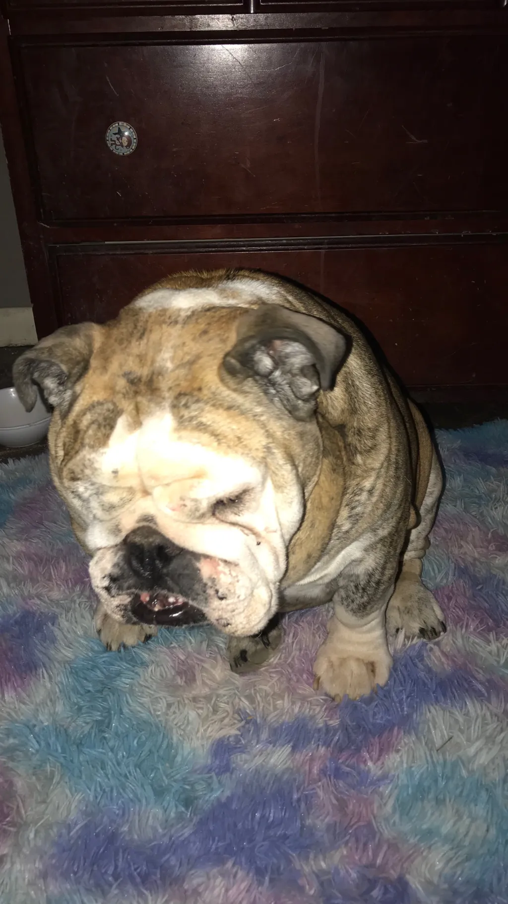 Talkie AI - Chat with New Bramble 