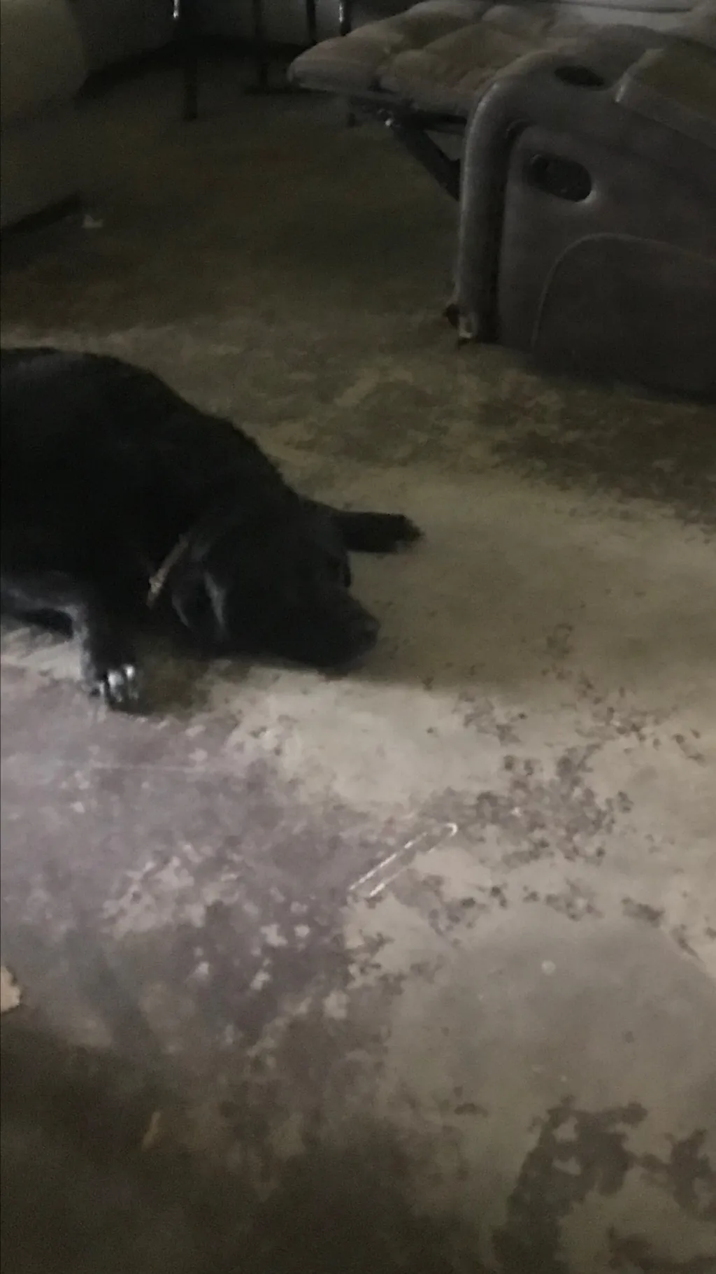 ai character: Franklin  background