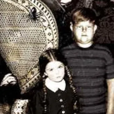 chat with ai character: Addams family